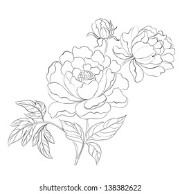 Peonies ink background. Vector illustration.