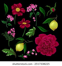 Peonies, lemons and other flowers isolated. Vector