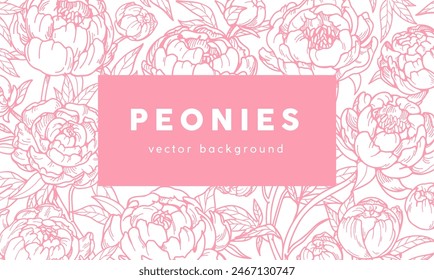 Peonies, outlined floral card design. Contoured flowers, framed background. Garden blossom. Beautiful delicate blooms, botanical template, detailed retro drawing. Hand-drawn vector illustration