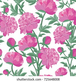 Peonies pattern. Vector seamless texture.