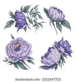 Peonies Purple Lavender Watercolor Flower Arrangement Collection.