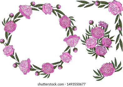 Peonies set: vector frame of pink peonies and flowers elements on a white background bouquets of peonies. Floral beautiful set for creating holiday cards, invitations, other design ideas