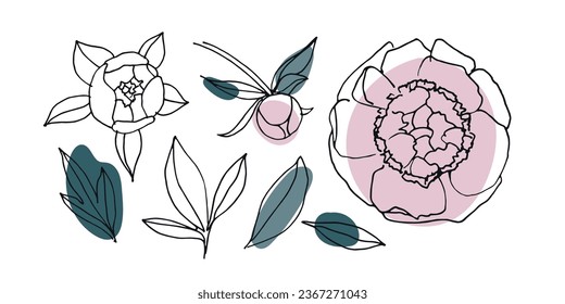 Peonies esboza la ilustración. Vector Conjunto floral aislado. Elementos botánicos de moda. Flores de peonía, brotes, hojas. Captura de ilustración natural para tarjeta, invitación, tatuaje. Esbozo lineal dibujado a mano.