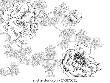Peonies stripes vector,vintage floral vector bouquet of peonies and garden flowers, botanical natural peonies Illustration on white. Summer floral peonies greeting card