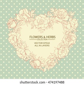 peonies  vector frame