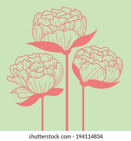 Peonies vector illustration