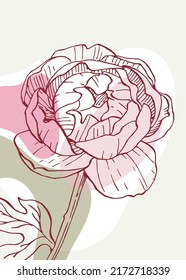 Peony Abstract Hand Painted Illustrations for Wall Decoration, Postcard, Social Media Banner, Brochure Cover Design Background. Modern Abstract Painting Artwork. Vector Pattern