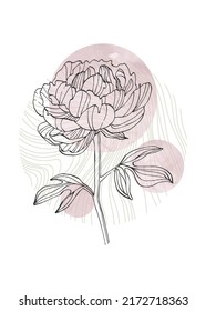 Peony Abstract Hand Painted Illustrations for Wall Decoration, Postcard, Social Media Banner, Brochure Cover Design Background. Modern Abstract Painting Artwork. Vector Pattern