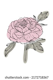 Peony Abstract Hand Painted Illustrations for Wall Decoration, Postcard, Social Media Banner, Brochure Cover Design Background. Modern Abstract Painting Artwork. Vector Pattern