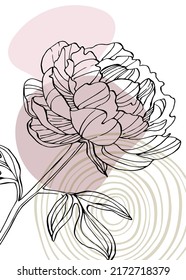 Peony Abstract Hand Painted Illustrations for Wall Decoration, Postcard, Social Media Banner, Brochure Cover Design Background. Modern Abstract Painting Artwork. Vector Pattern