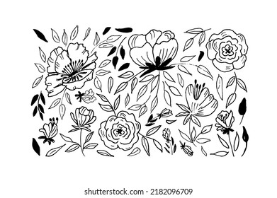 Peony, anemones, roses and aster hand drawn paint vector set. Monochrome artistic botanical illustration. Isolated floral elements, hand drawn illustration. 