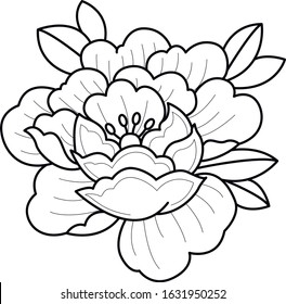 Peony Art Elemento de diseño de flores Línea de trabajo de puntos