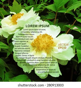 Peony background text presentation template vector design