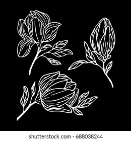 Peony  background vector illustration. Doodle style. Design icon, print, logo, poster, symbol, decor, textile, paper, card. 