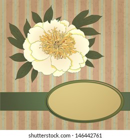 peony background, vector illustration, eps10