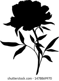 Peony black silhouette. Graphic drawing. Vector.