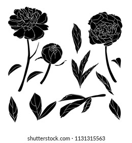 Peony black vector concept illustration. Template for logo, logotype, branding. Isolated elements. Pattern,  banner, frame, invitation, gift pack paper, creative.