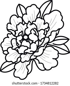 peony black and white vector graphic art