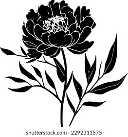 Peony | Black and White Vector illustration