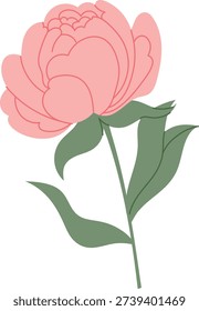 Peony bloom with layered petal and leafy stem in bold outlines. Symbol of romance, luxury, wedding florals, and spring blossom. Cartoon vector illustration.