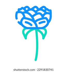 peony blossom spring color icon vector. peony blossom spring sign. isolated symbol illustration