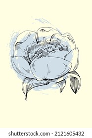 Peony botanical wall art. Peonies line art drawing with abstract shape. Abstract plant art design for print, cover, wallpaper, minimal and natural wall art.
