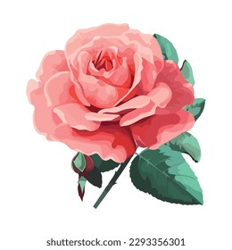 Peony bouquet symbolizes love and elegance isolated
