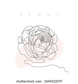 A peony by one line. Continuous drawing. Greeting card, poster, banner. Packaging design, label. Beauty. Black single line illustration of flower