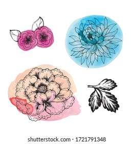 
Peony, Chrysanthemum, sakura, drawn by a contour with a watercolor substrate. Asian flowers in tattoo style. Painted watercolor illustration with traditional symbols of Asia
