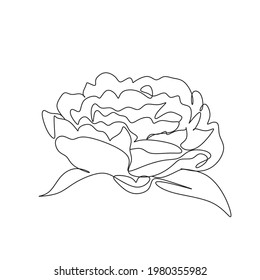Colección de peones con arte lineal aislado en fondo blanco. Ilustración de la mano del vector. Diseño de líneas botánicas minimalista