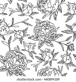 Peony. Drawn by hand. Black contour. Seamless background. Vector.
