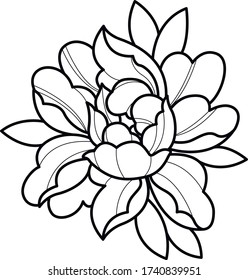 peony flash tattoo art work vector design 