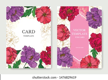 Peony floral botanical flowers on white background