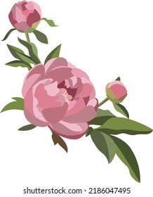 Peony floral composition, three pink flowers with greenery. Wedding card decoration. Romantic background.