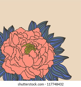 peony flower