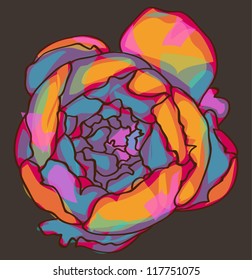 peony flower
