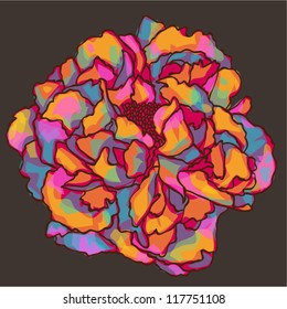 peony flower