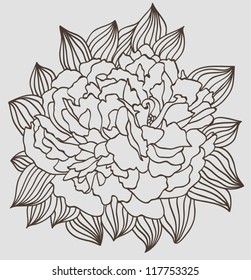 peony flower