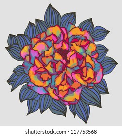 peony flower
