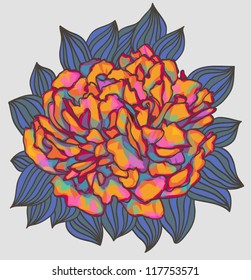 peony flower