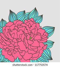 peony flower