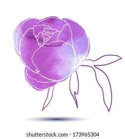 Peony flower