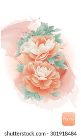 peony flower