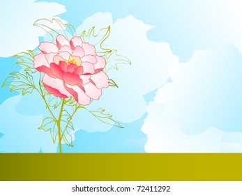 peony flower