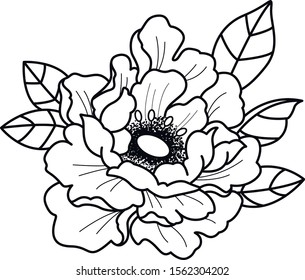 peony flower art dot  work bloom vector