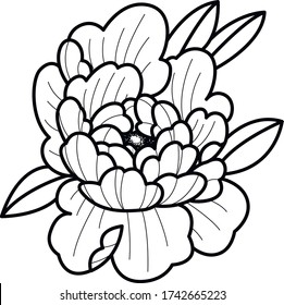 peony flower art work design vector tattoo