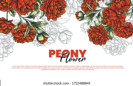 flor peony para el diseño de fondo