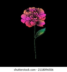 Peony flower with bitmap effect on dark background.