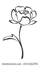 Peony flower. Black line drawing of peony isolated on a white background. Vector line art illustration