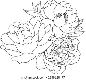 Peony flower Black and white outline vector coloring book page for adults and children flowers with leaves 
buds hand-drawn, isolated on white background ink illustration design color book.

